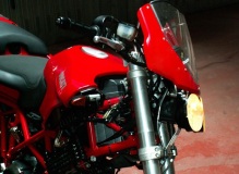 She Devil from the front