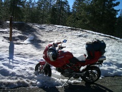 Stroodle in the Snow