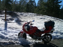 Stroodle in the Snow