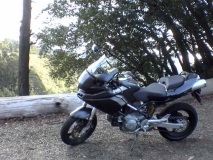 Up on Grizzly Peak road, above Berkeley