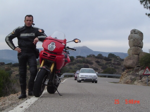 coyote in the mountain