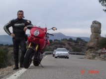 coyote in the mountain