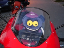 The amateur rider :)