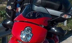 red painted DP Max Protection 2