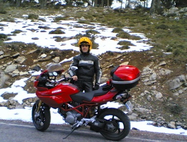 Coyote por las sierras de Jaén