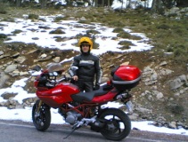 Coyote por las sierras de Jaén