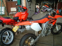 Which will i ride today ?????????????????