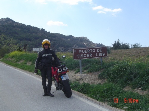 coyote de marcha por la montaña