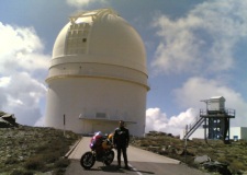 COYOTE EN CALAR ALTO (ALMERIA) SPAIN
