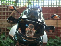 Front view of handguards