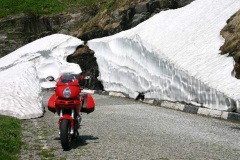Swiss Alps late June