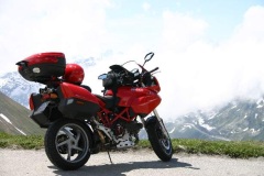 Swiss Alps late June