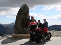 Coyote in the col de la Bonette