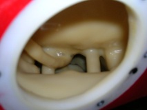 Tank @ fuel flange, looking @ sender