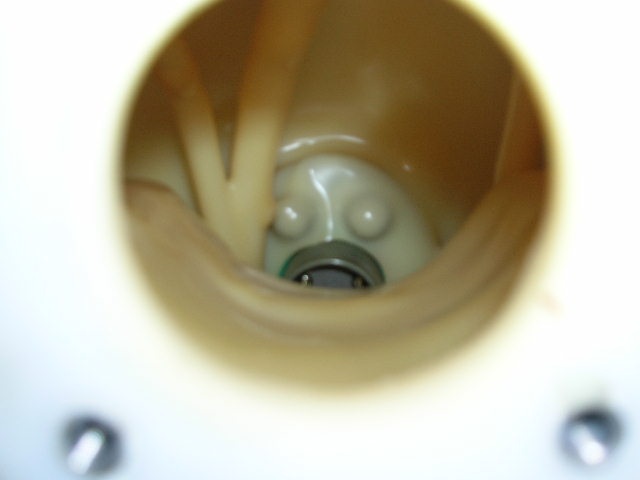 Through sender hole looking @ gas cap