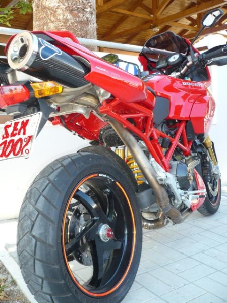 termi-cat eliminator