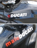 Male-e-Ducati
