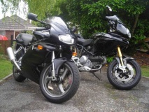 Old and new stable mate