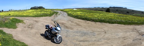 Pigeon Point Lighthouse by Highway1, California