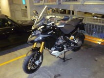 Black Mutley 1200ST resting