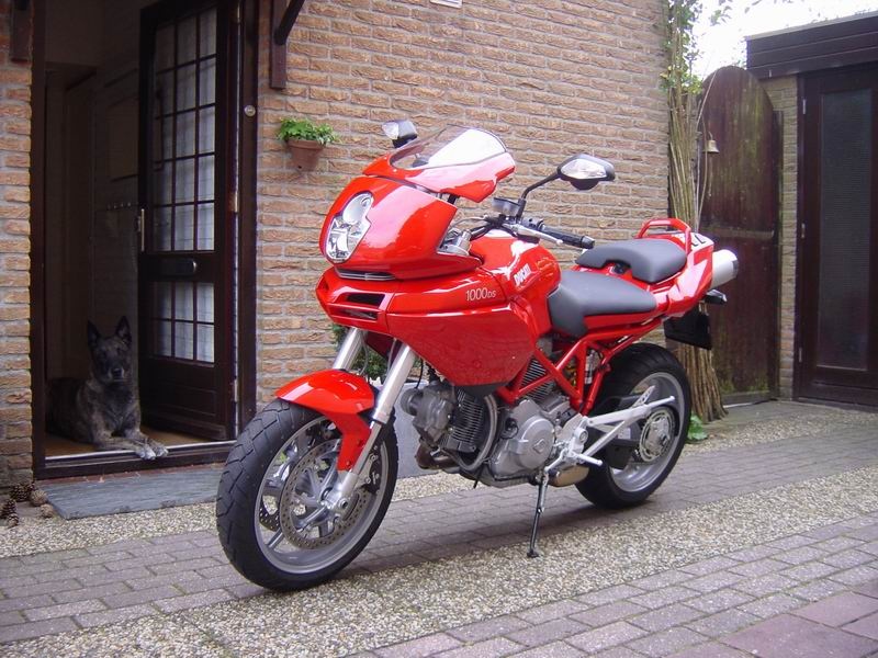 Ducatifool dog and bike