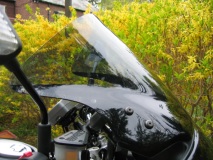 DP Max Protection Screen