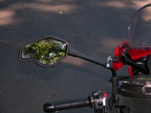 Anti-vibration screen bracket