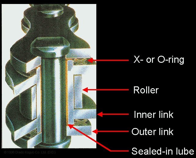Chain cross-section