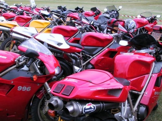 a sea of Ducs at a DSC meeting