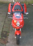 Panniers 28L