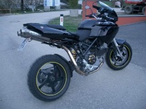 Black Bella without cat